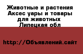 Животные и растения Аксесcуары и товары для животных. Липецкая обл.